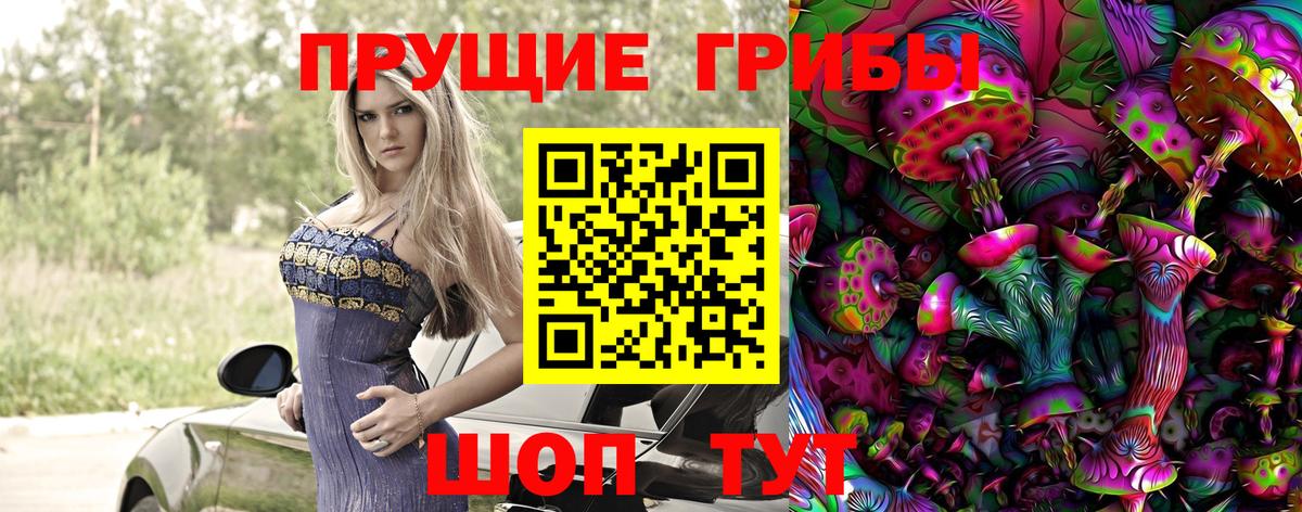 магазин  наркотиков  Псилоцибиновые грибы ЛСД  Галлюциногенные грибы Psilocybine cubensis  Вход с VPN  Ефремов 