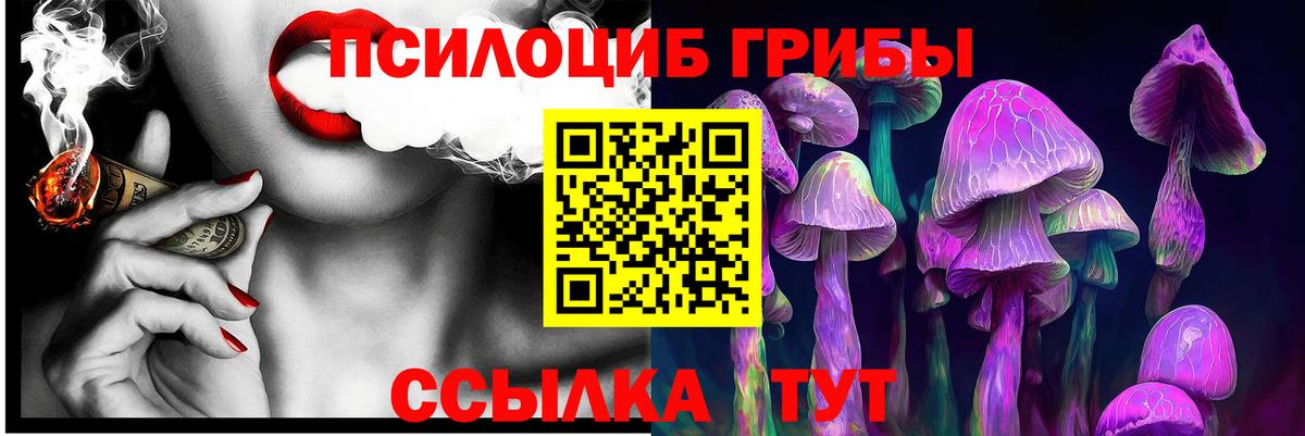 Галлюциногенные грибы Cubensis Ефремов